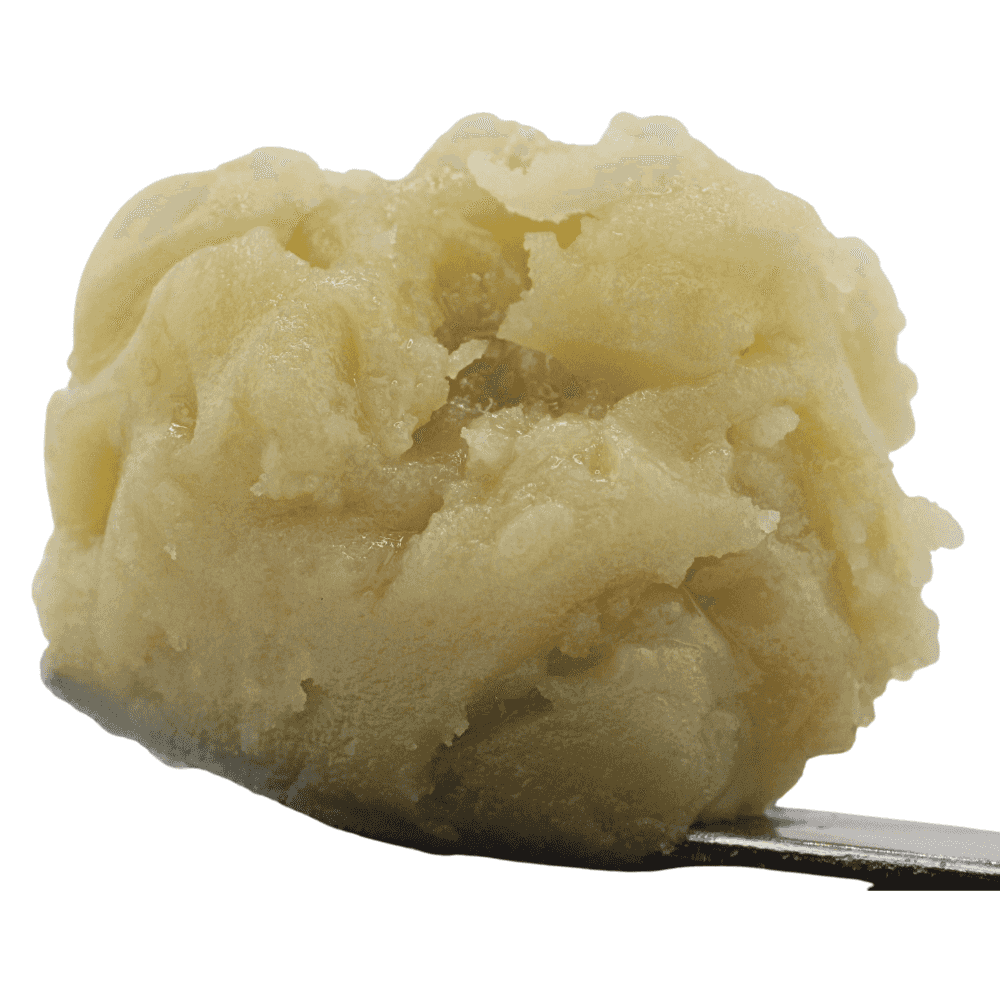 Papaya Runtz | Cold Cure | Tier 1
