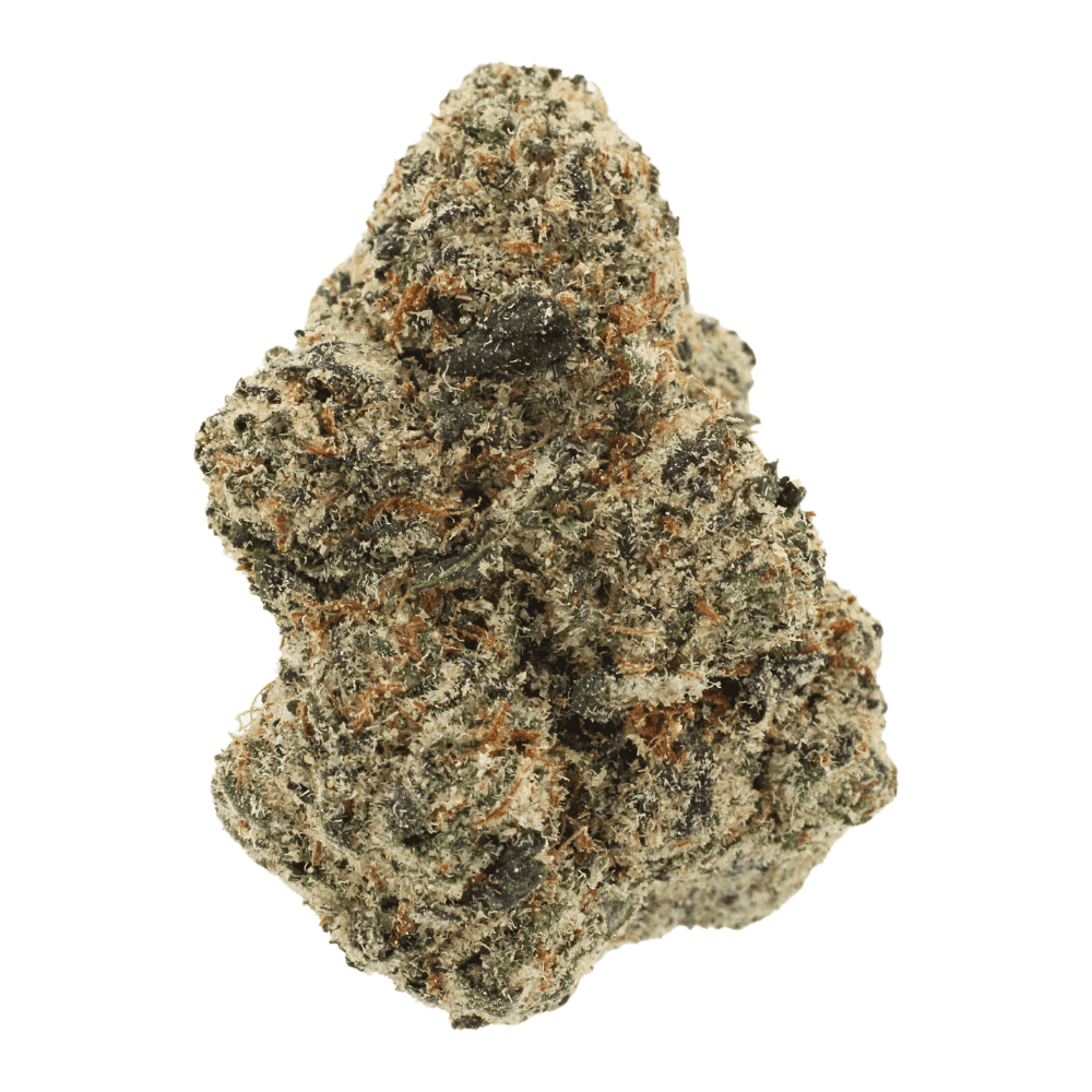 Black Apricot | THCa Flower | Tier 1