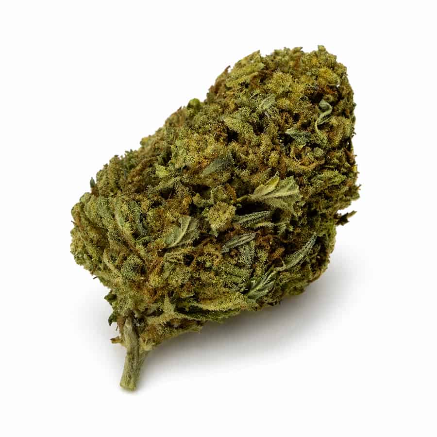 THCA FLOWER | ROTATING LIMITED RUN STRAINS