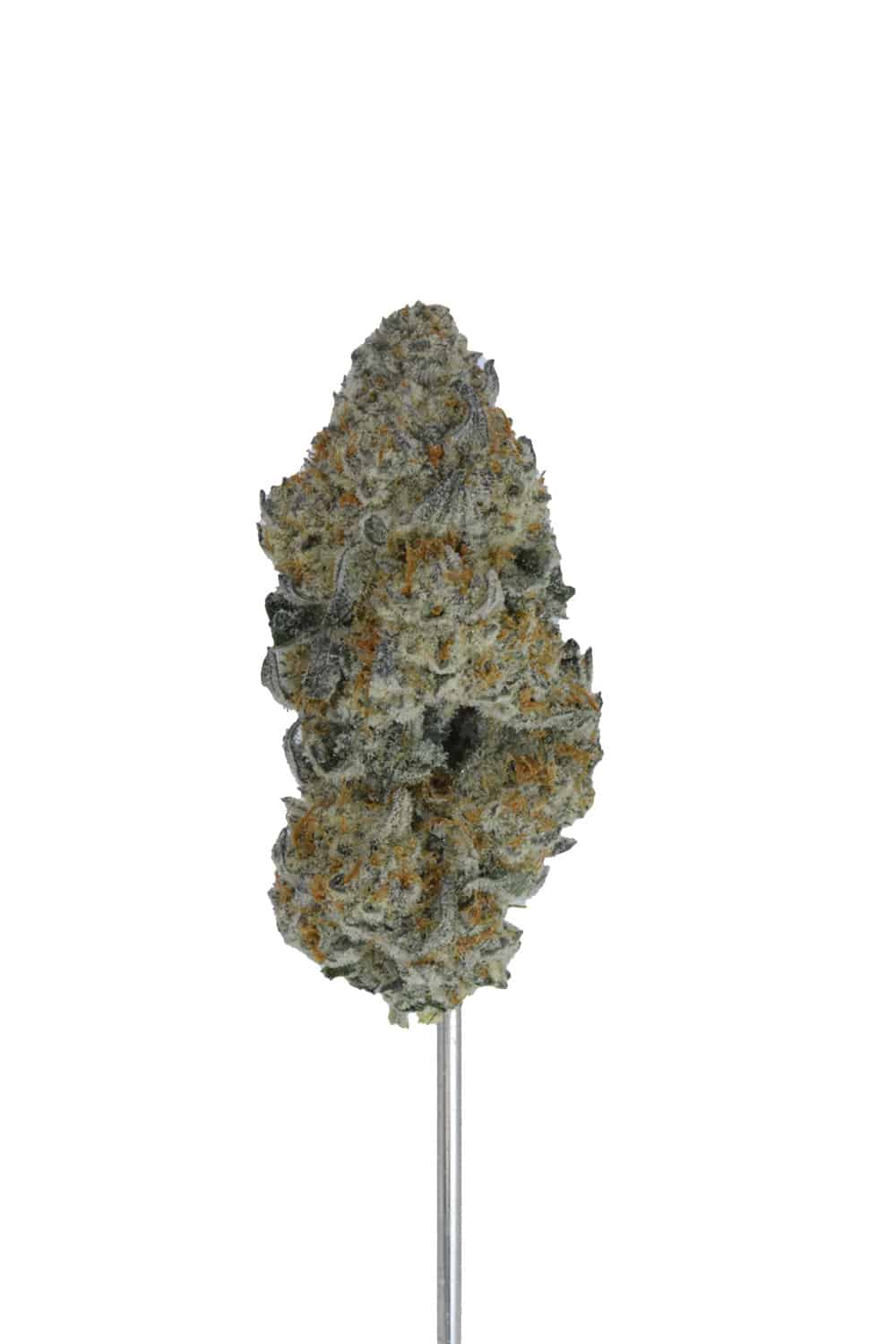 Cereal Milk THCA Hemp Flower