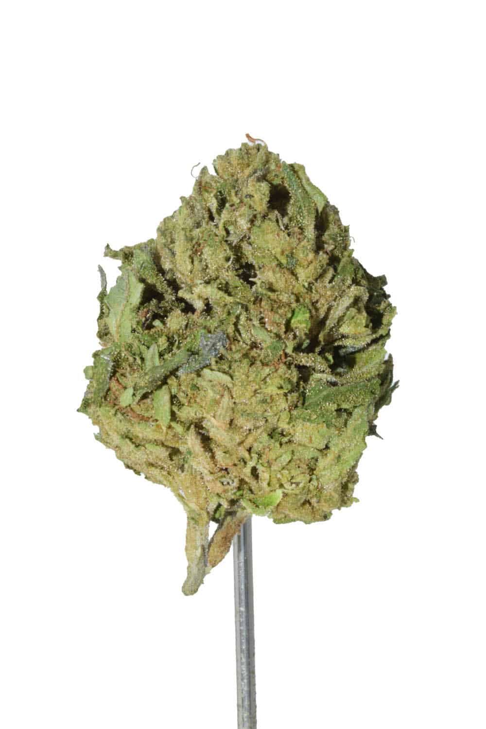 Gruntz THCA Flower