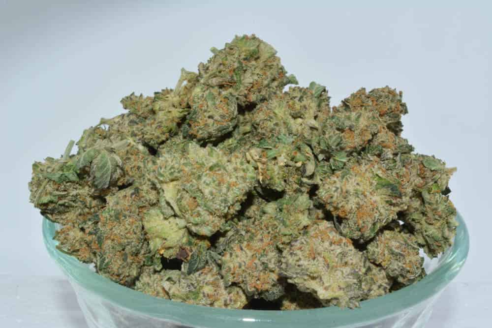 Mendo Breath