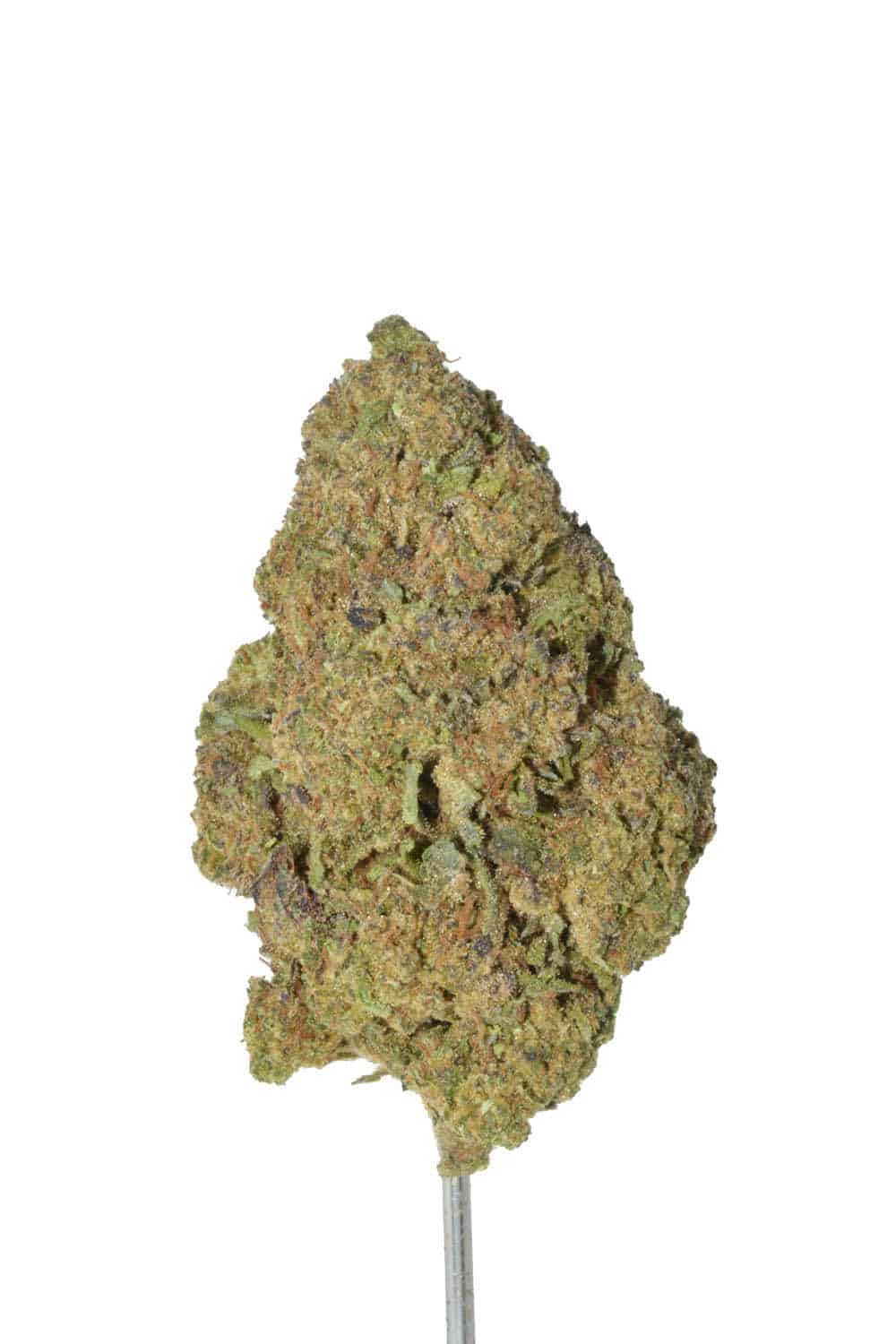 White Cherry Gelato