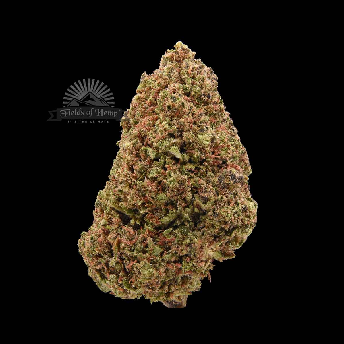 Critical Berries New 2025