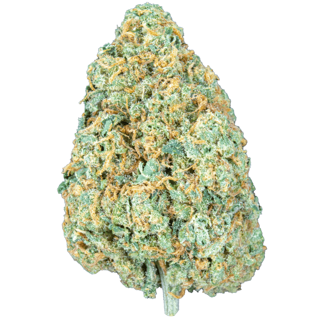 Glacier Kush