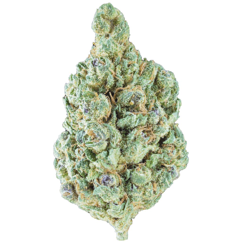 Hippie Stank