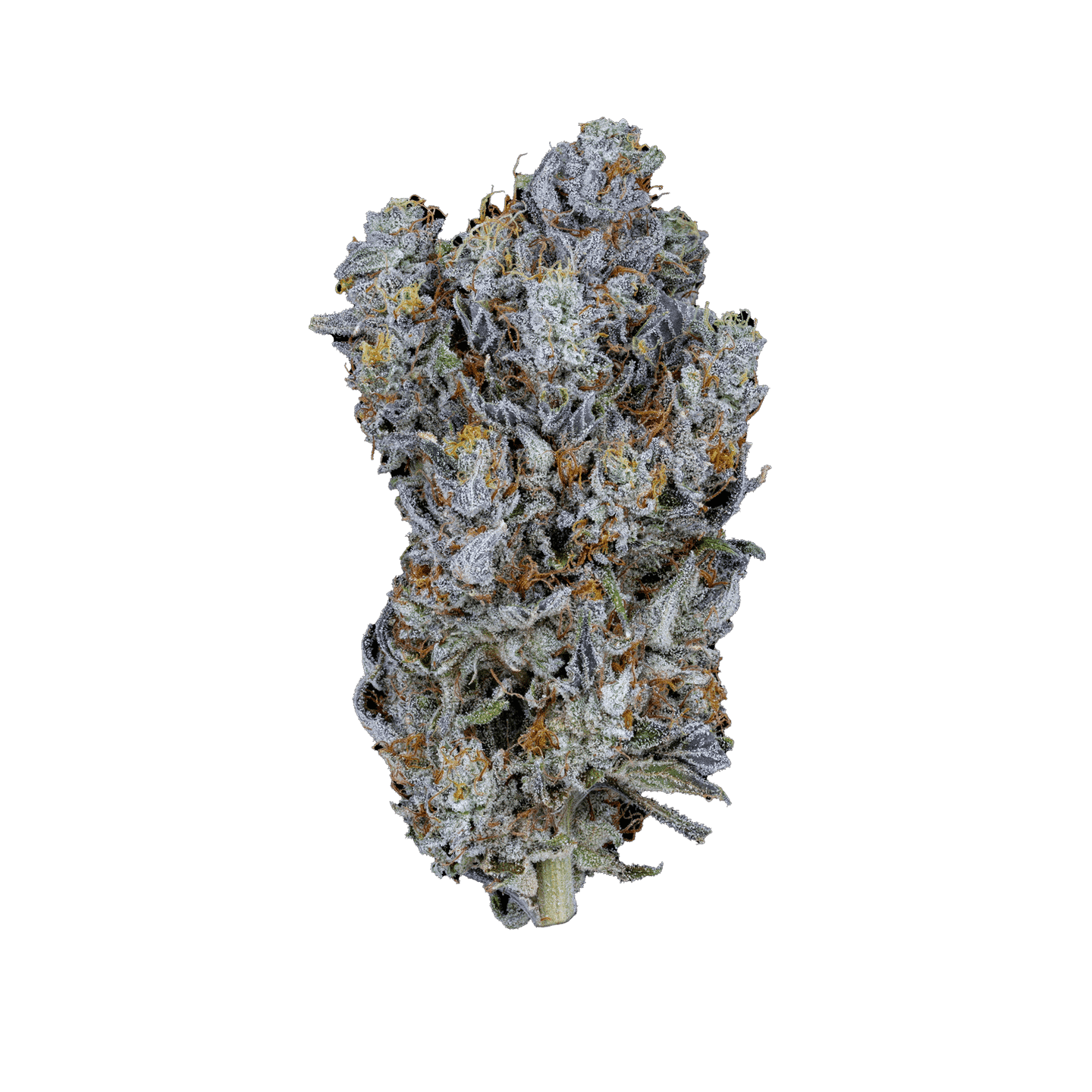 Pink Runtz THCA Flower