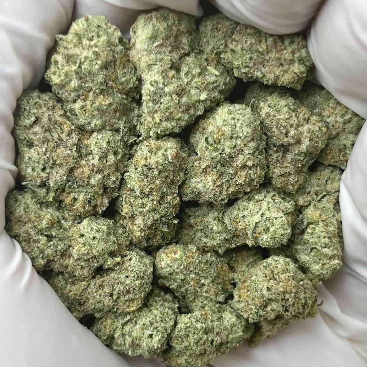 Black Mamba THCa