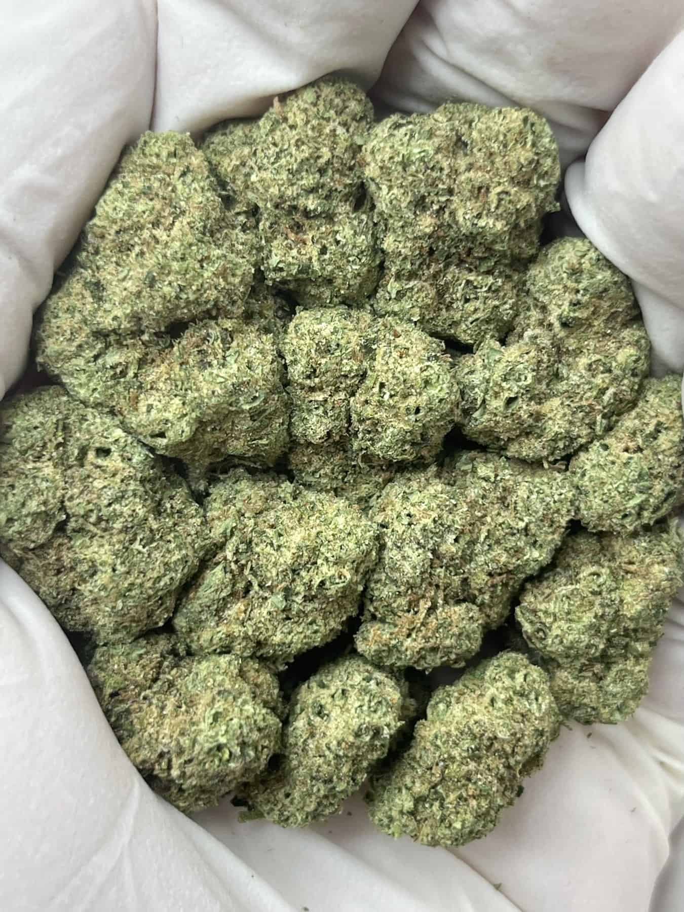 Gelato #33 THCa