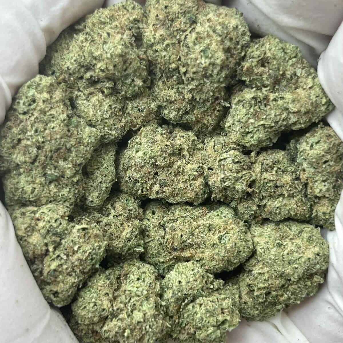 White Runtz THCa