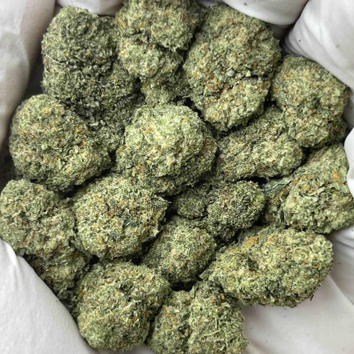 Dior Runtz THCa