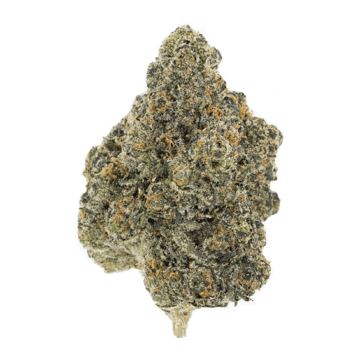 Purple Runtz THCa Flower (Indoor)