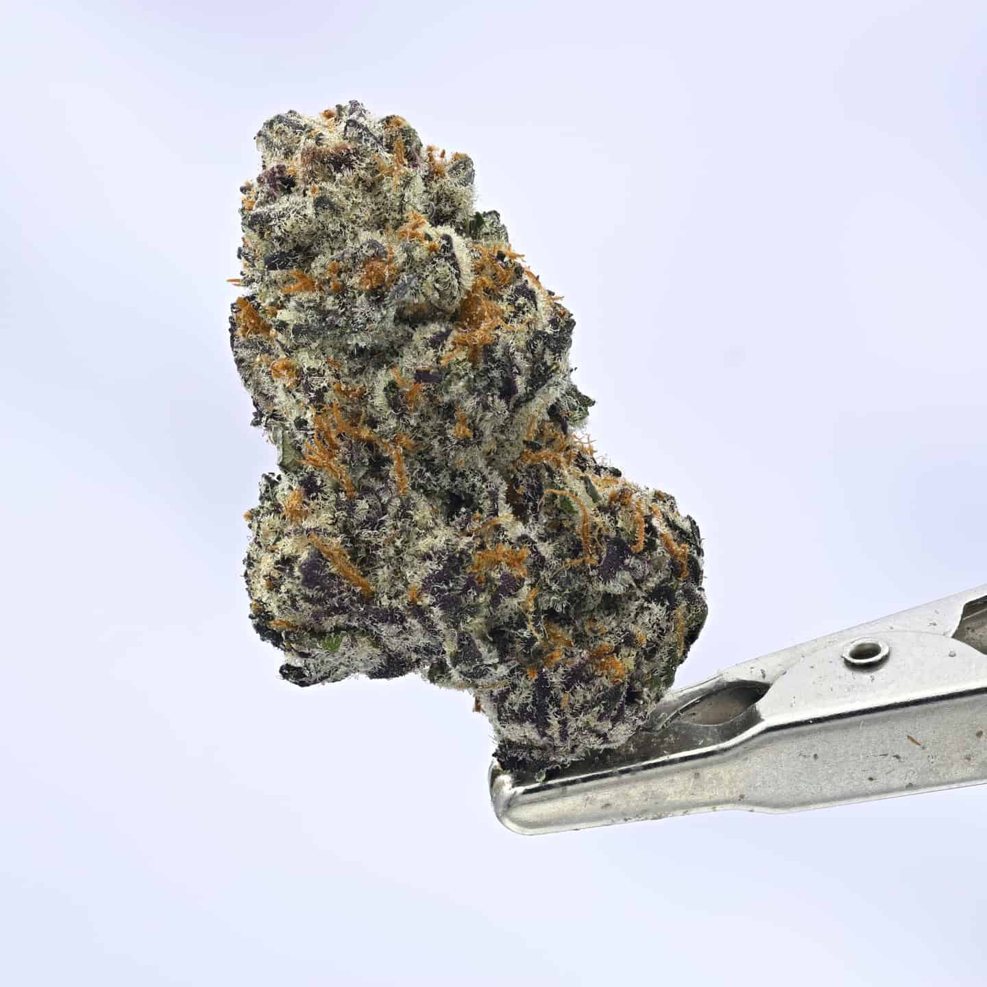 Small Batch – Black Amber – 3.5g