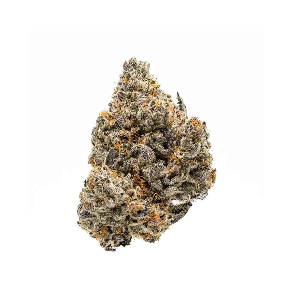 Jelly Donut Strain, 27.5% THCa Flower