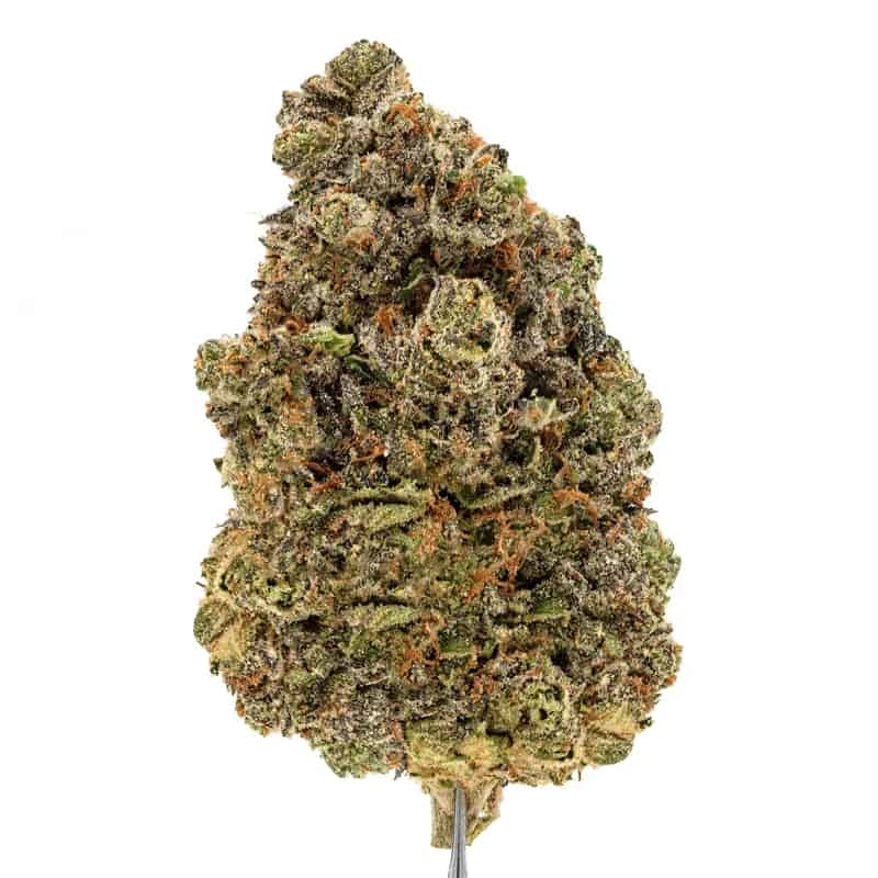 Gelonade Strain
