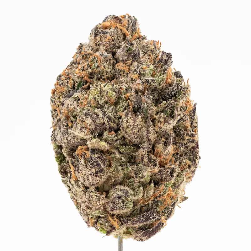 White Cherry Gelato Strain