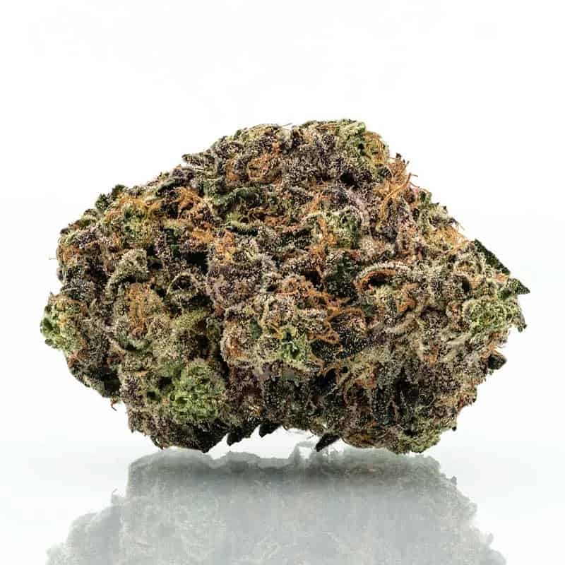 Purple Urkle Strain