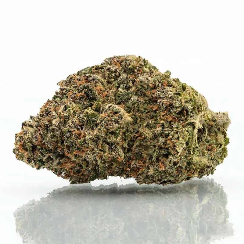 Sour Runtz Strain