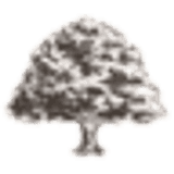 Dogwood Dispensary
