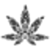 Tribetokes