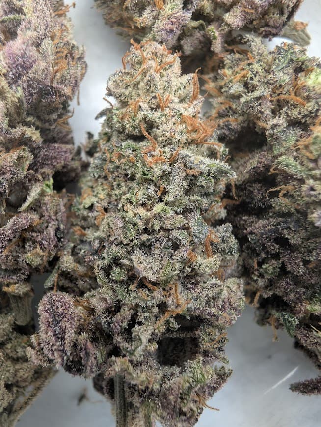 Kush Colada (indoor)