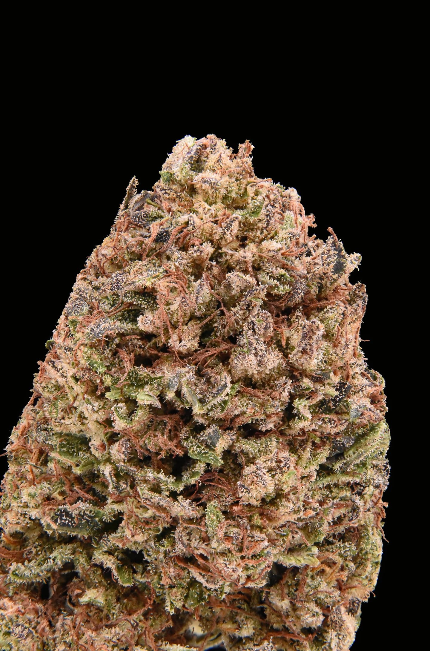 Blue Eyes White Kush