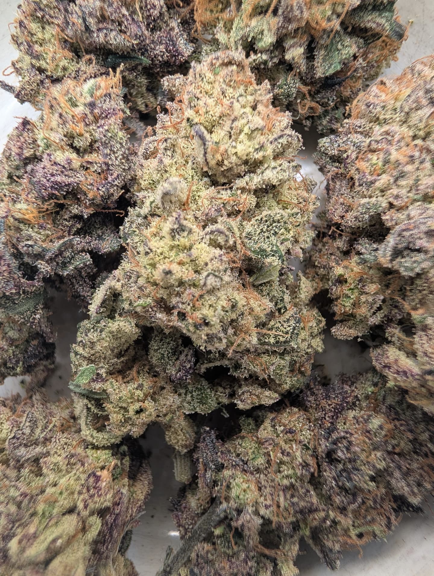 Zebbles (indoor)
