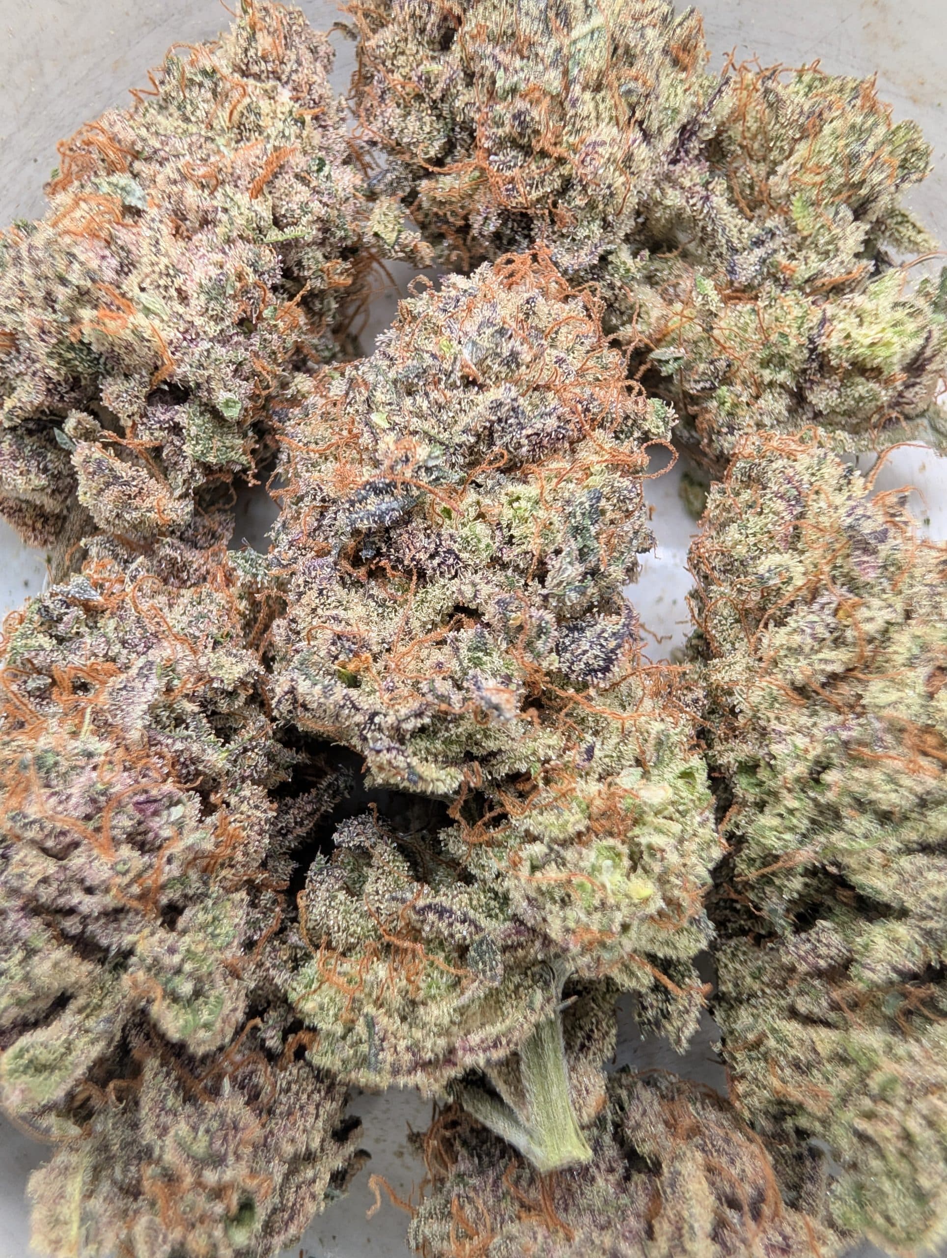Garlic Smacks (indoor)