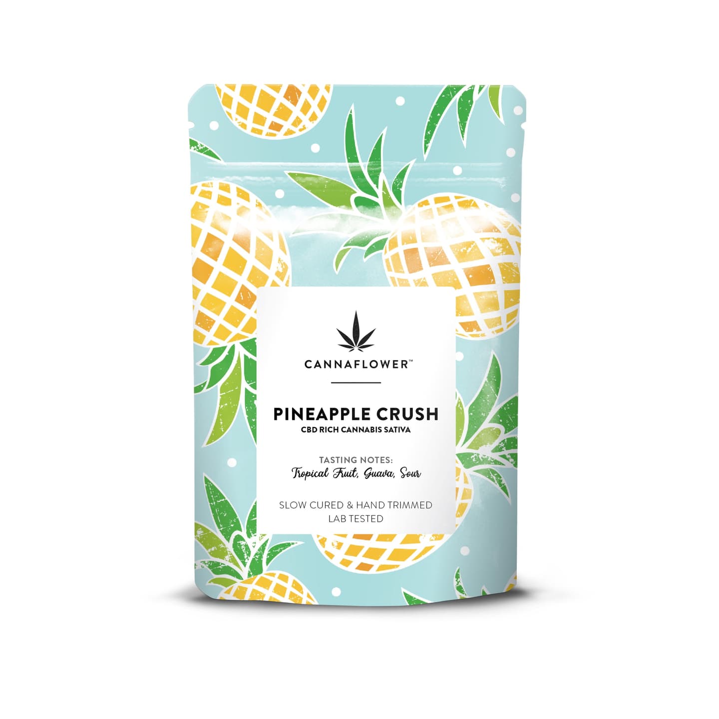 Pineapple Crush Case