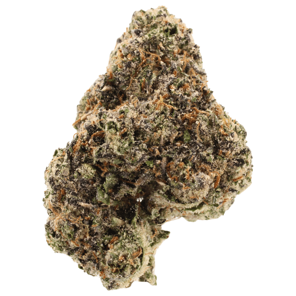 Bolo Runtz | THCa Flower | Tier 1 – 3.5 Grams