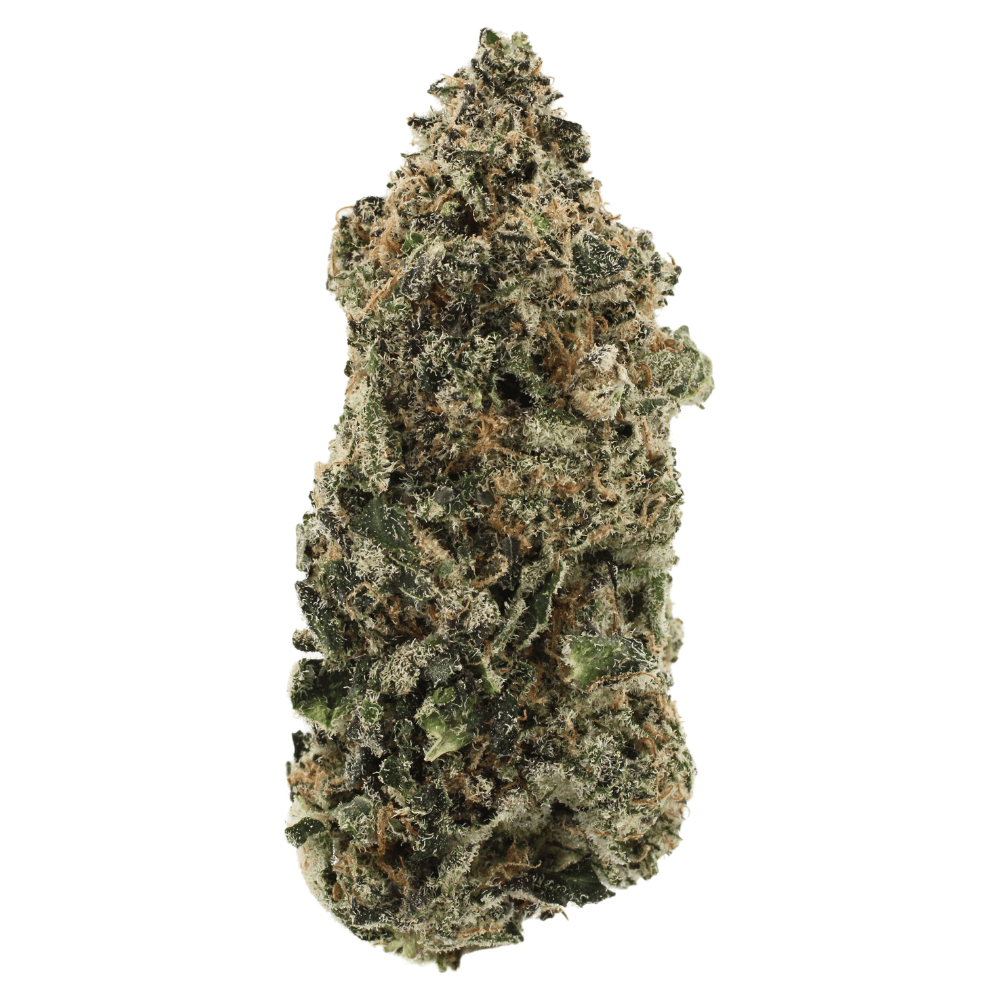 Blueberry Soda | THCa Flower | Tier 1