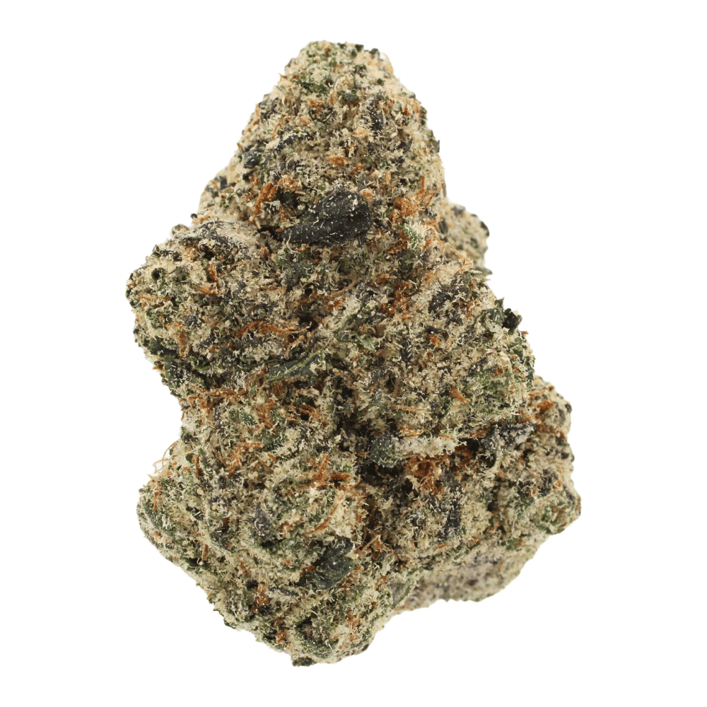 Black Apricot | THCa Flower | Tier 1
