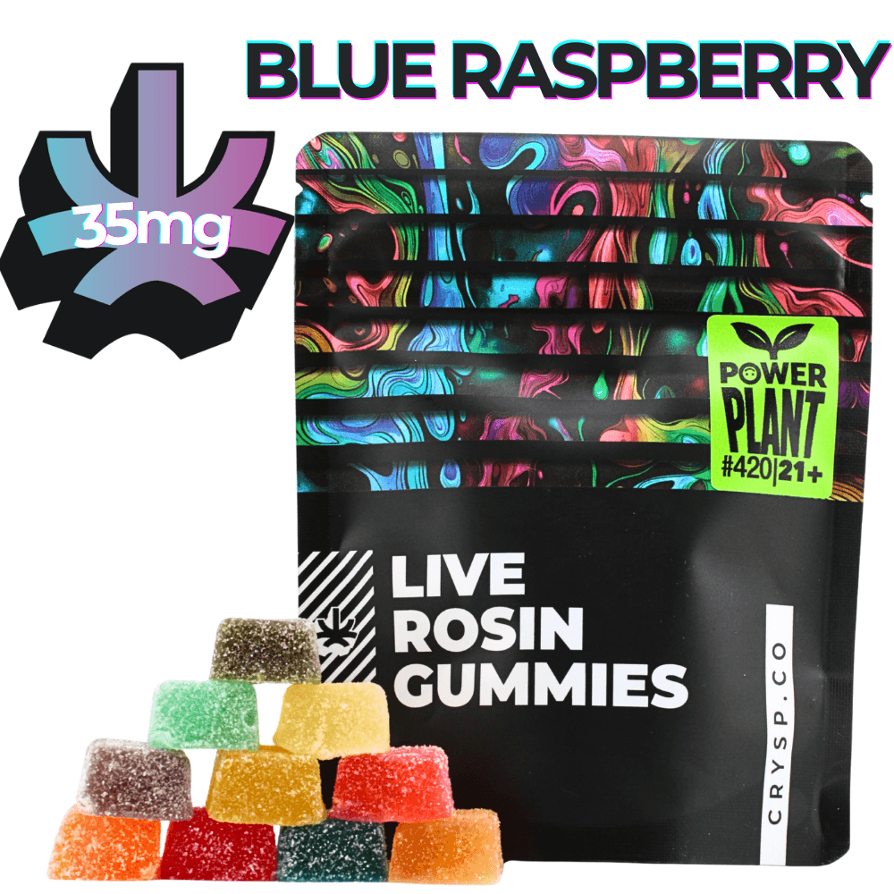 Blue Raspberry | Live Rosin Cannabis Gummies | 210mg
