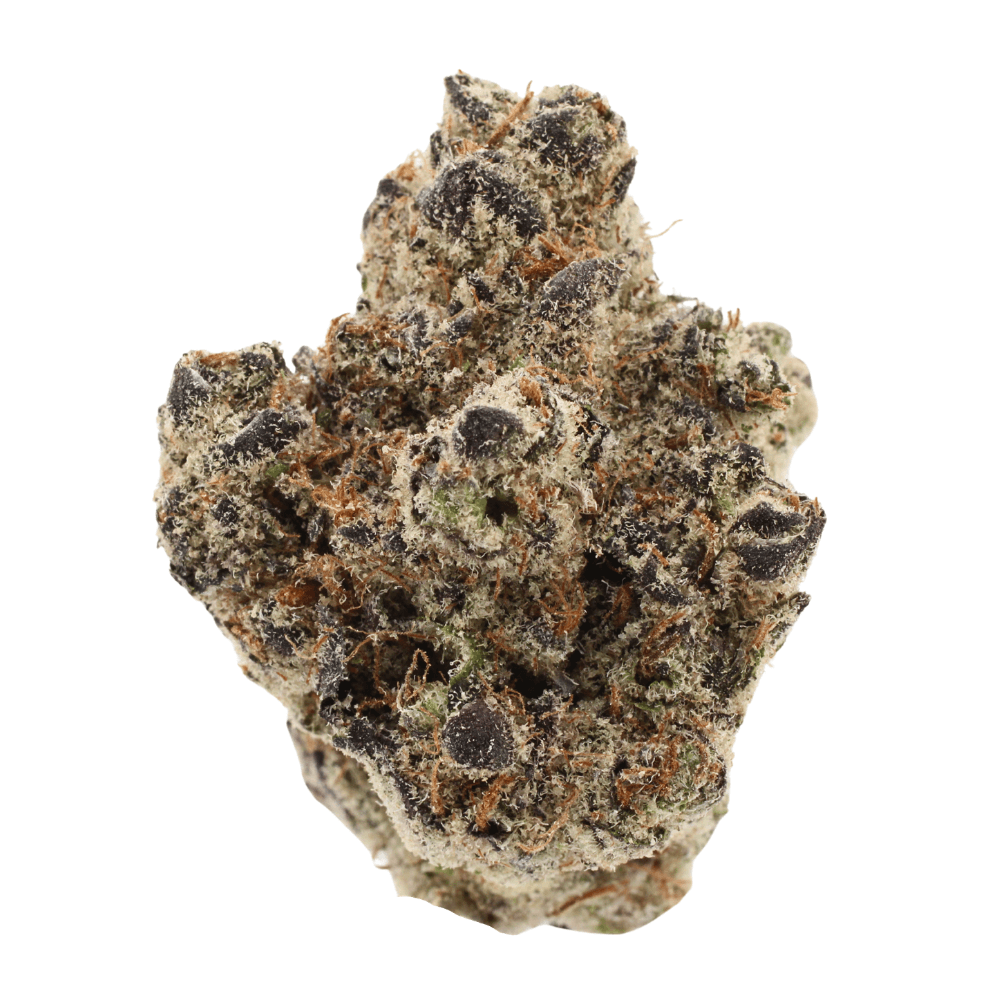 Dragons Breath | THCa Flower | Tier 1 – 14 Grams