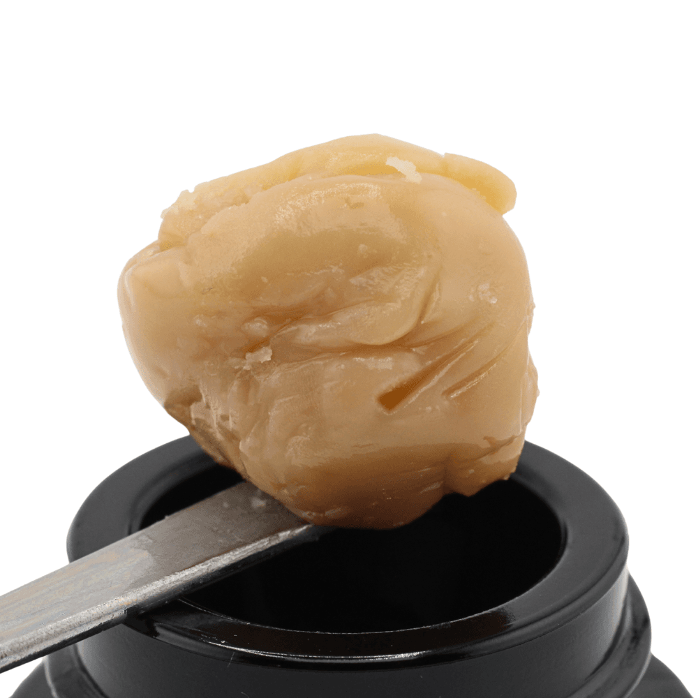 Gasteroid | Cold Cure | Reserve Batch – 1 Gram