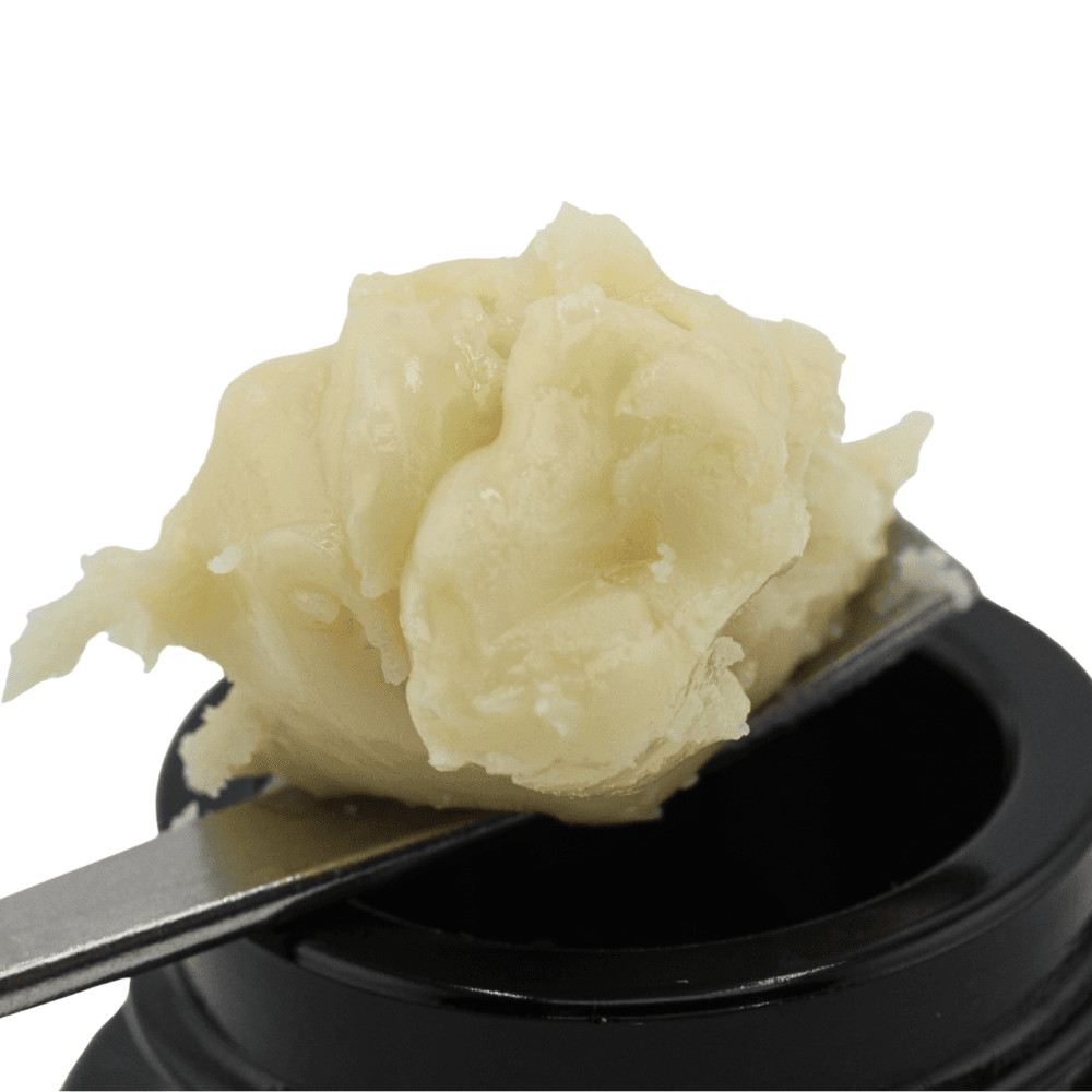 Governmint Oasis | Cold Cure | Tier 1 – 1 Gram