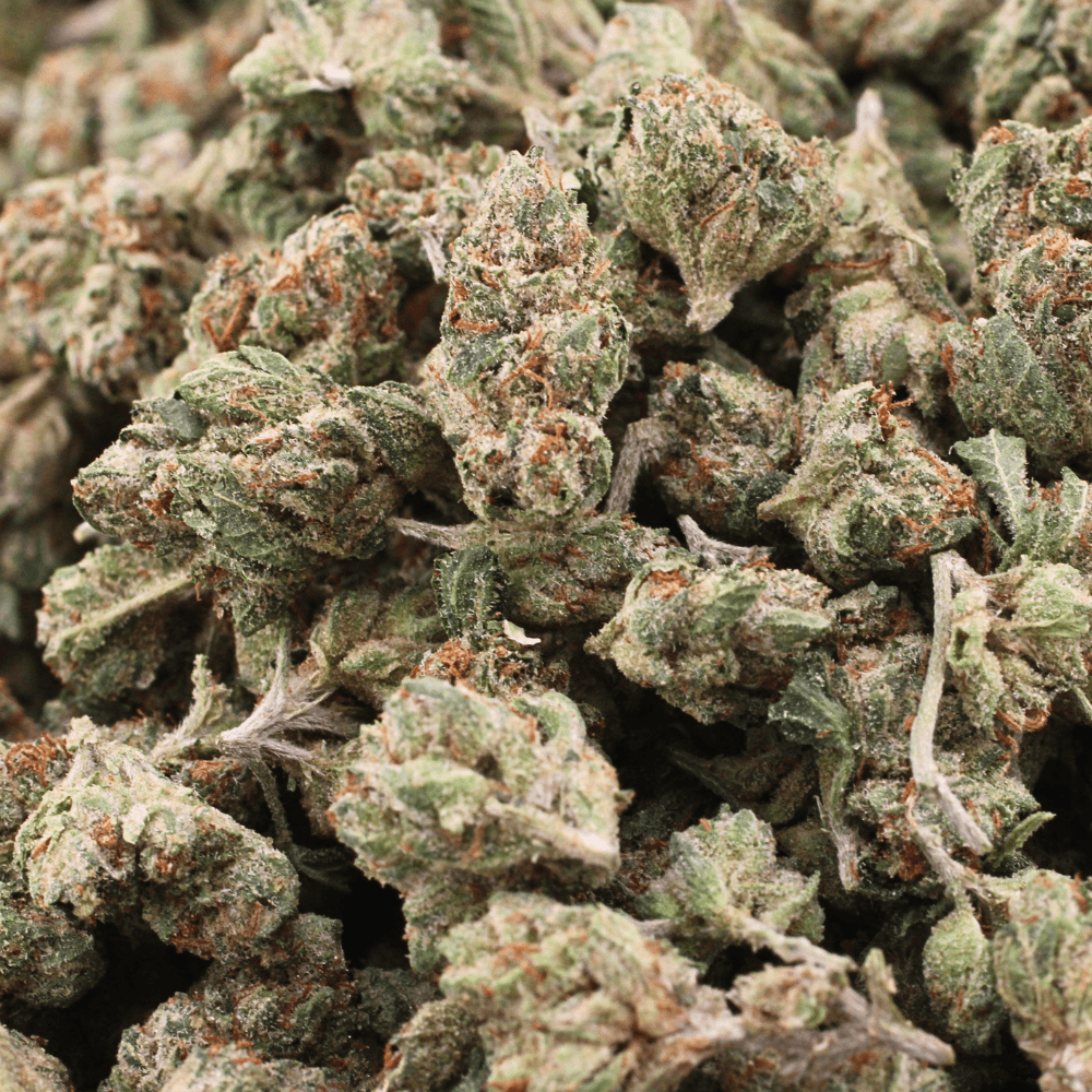 56 Day Headbanger | THCa Flower | SMALLS – 14 Grams