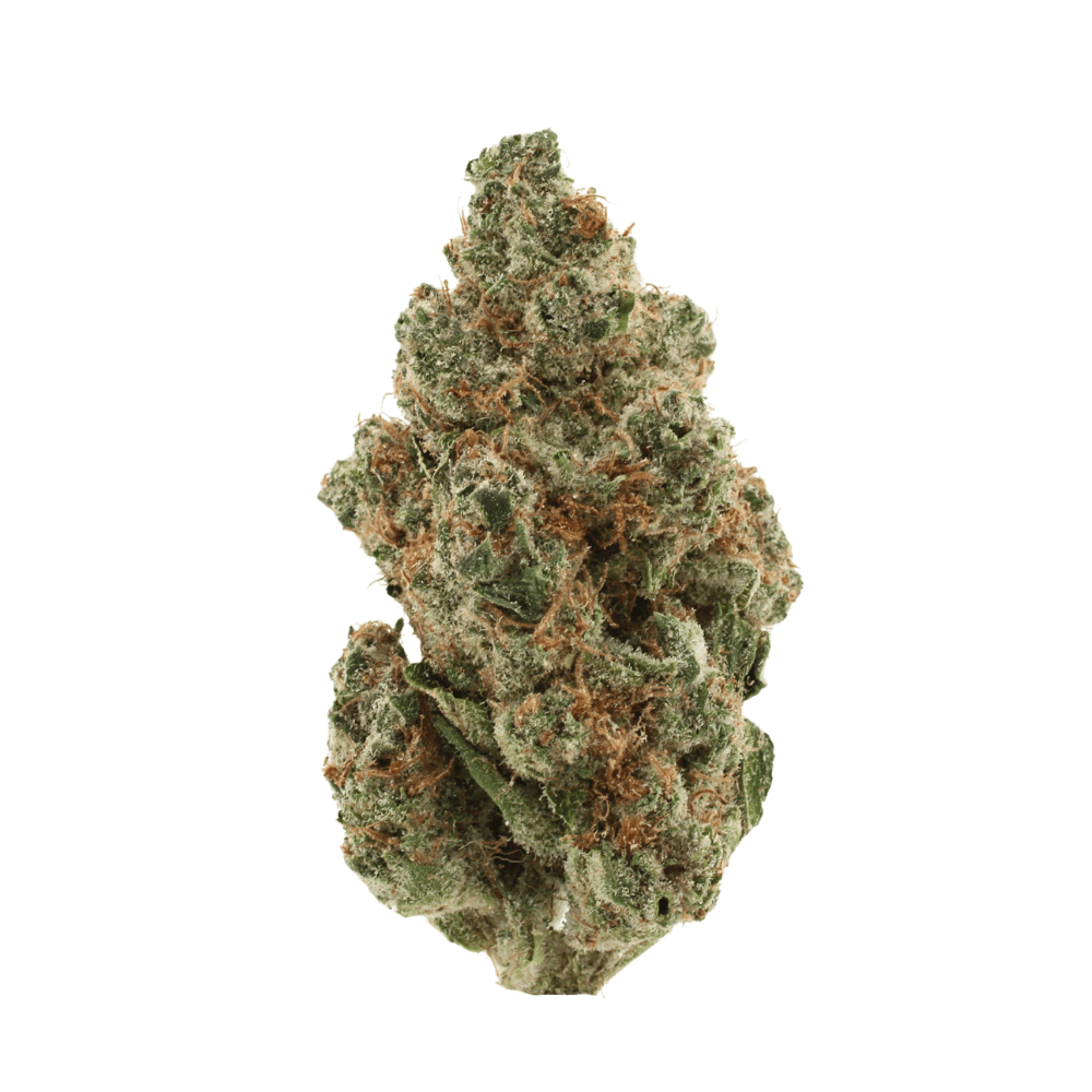 Agent Tangie | THCa Flower | Tier 1 – 28 Grams