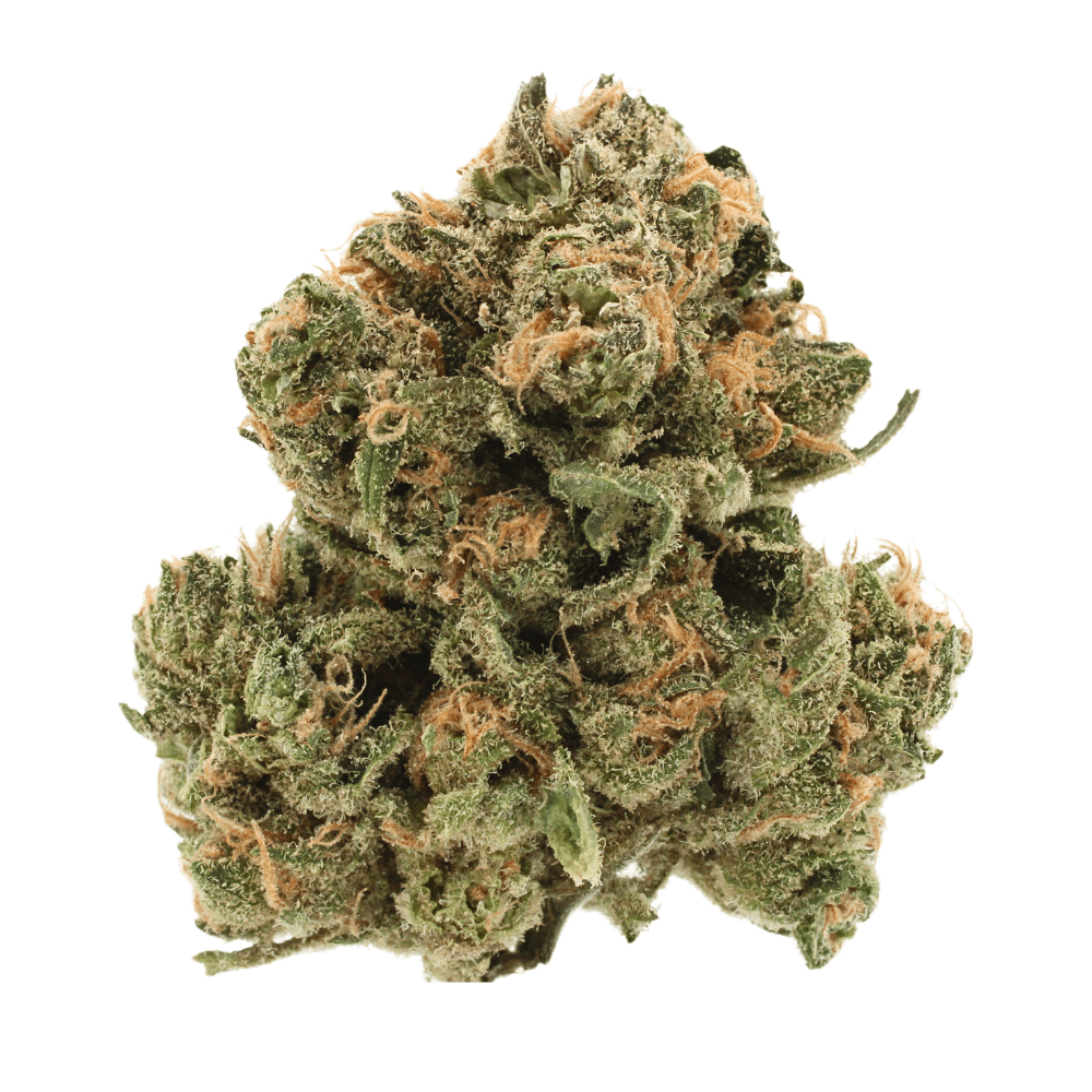 Blue Dream | THCa Flower | Tier 1 – 3.5 Grams