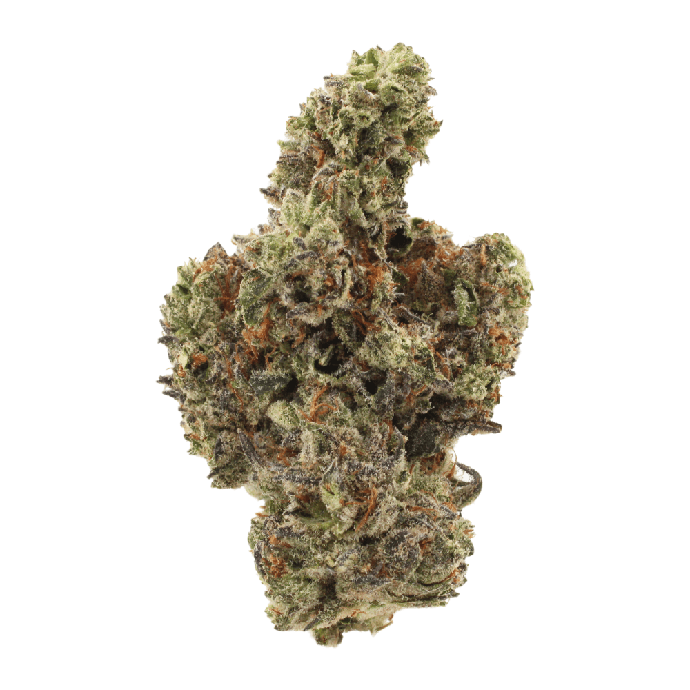 Gorilla Glue | THCa Flower | Tier 1 – 7 Grams