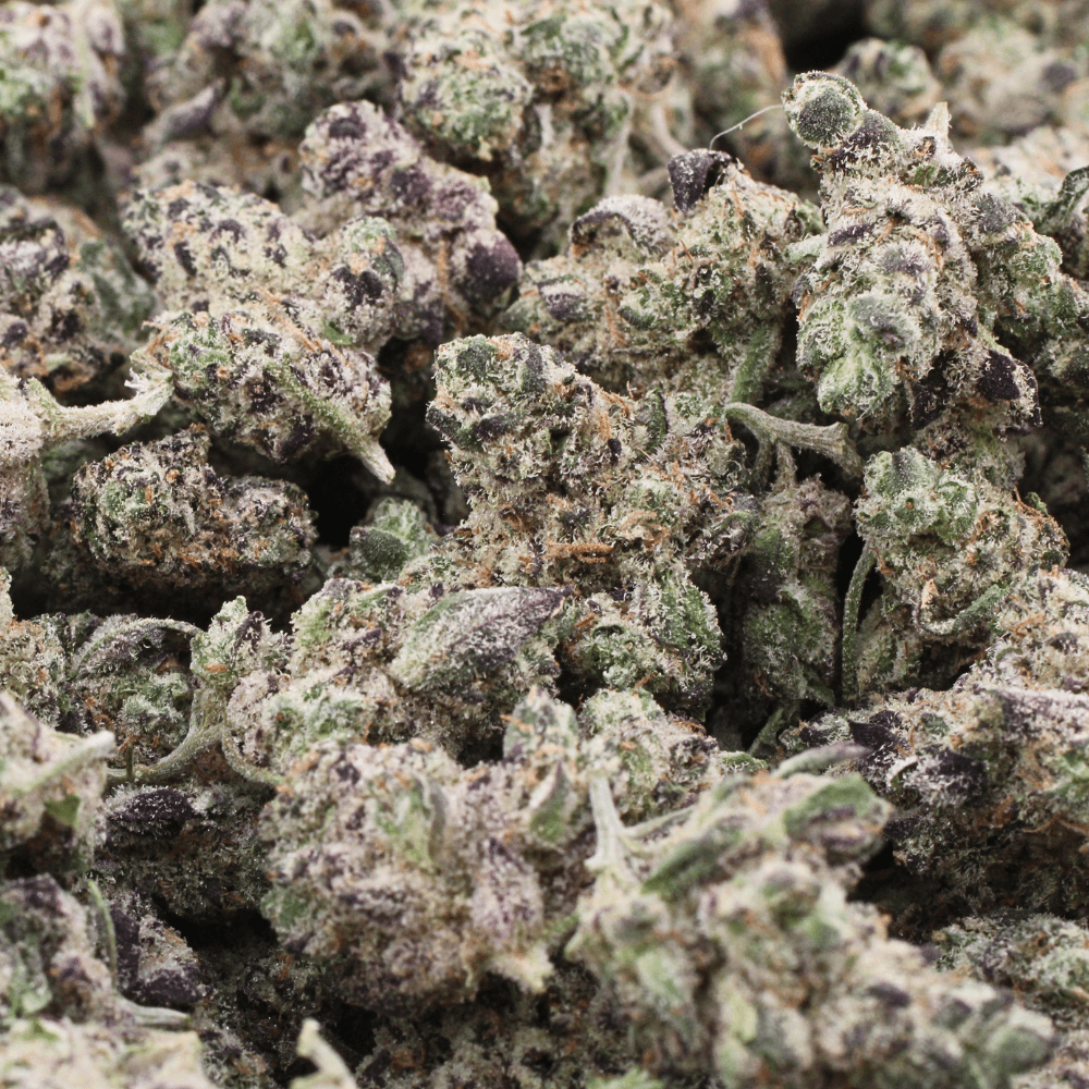 Governmint Oasis | THCa Flower | SMALLS – 28 Grams