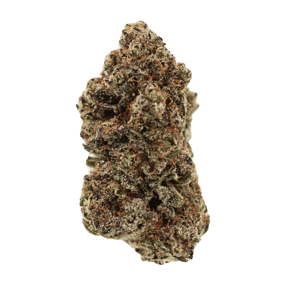 Lizard Burger | THCa Flower | Tier 1 – 3.5 Grams