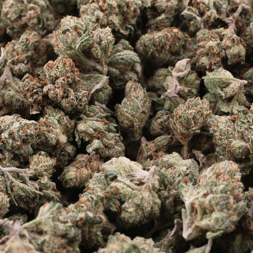 SFV OG | THCa Flower | SMALLS – 14 Grams