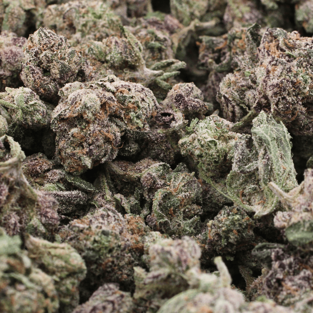 Sherb | THCa Flower | SMALLS – 28 Grams