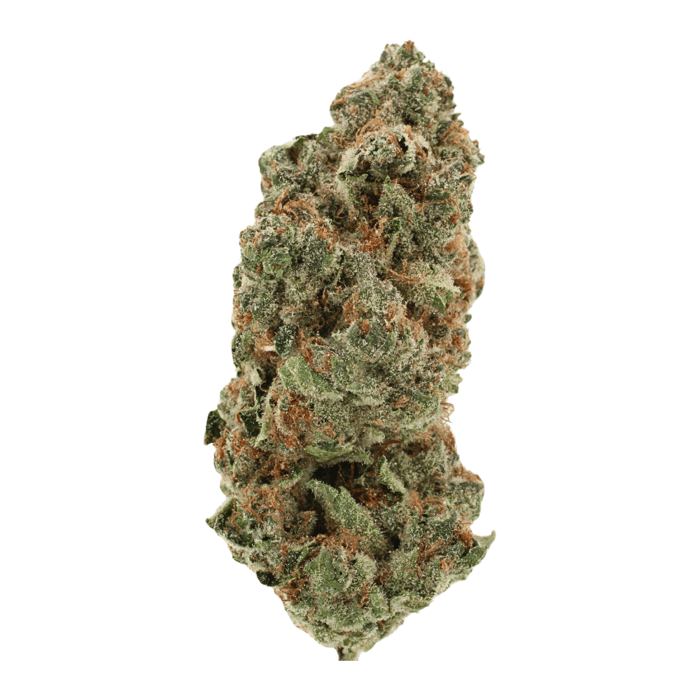 White Tangie | THCa Flower | Tier 1 – 14 Grams