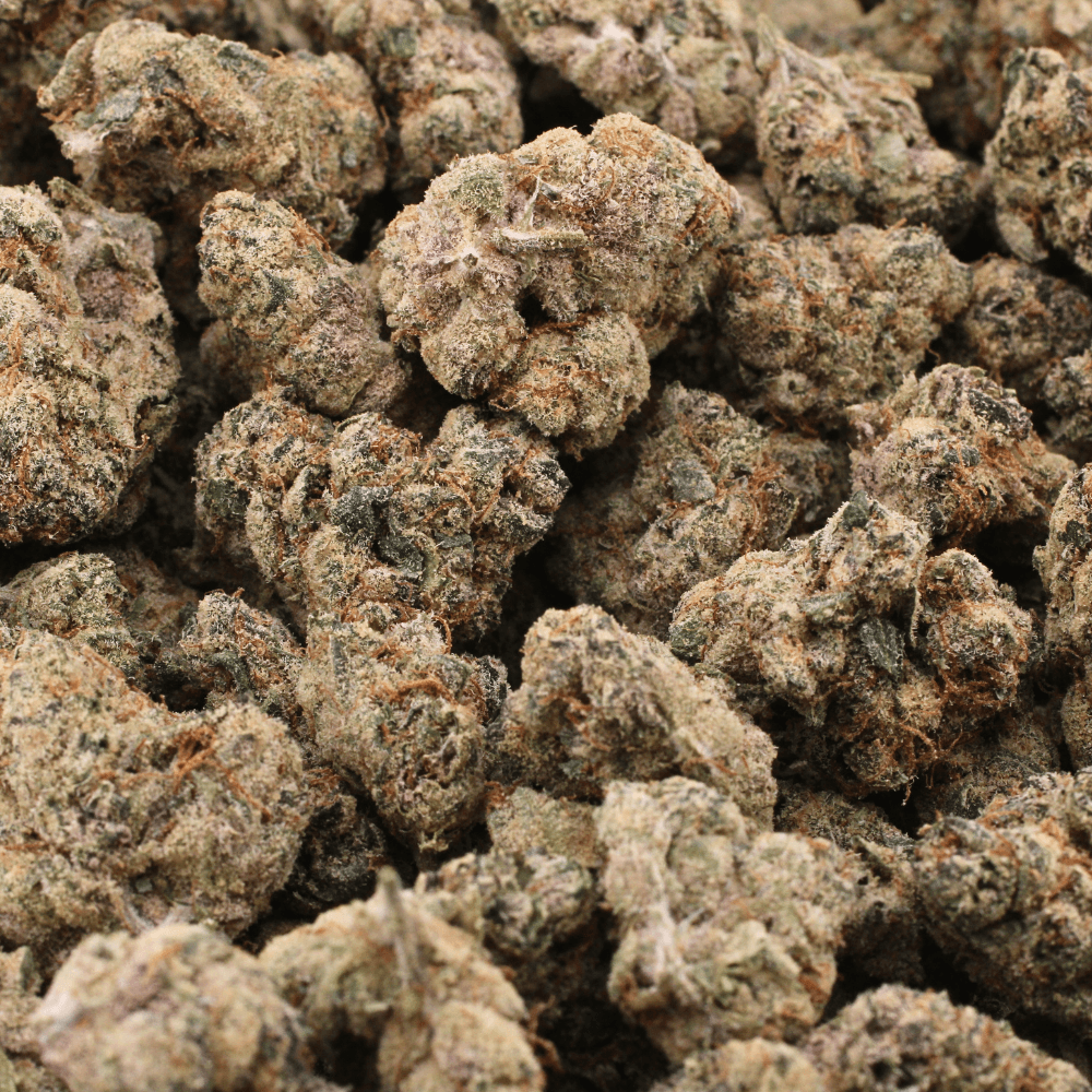 Blackberry Kush | THCa Flower | SMALLS – 28 Grams