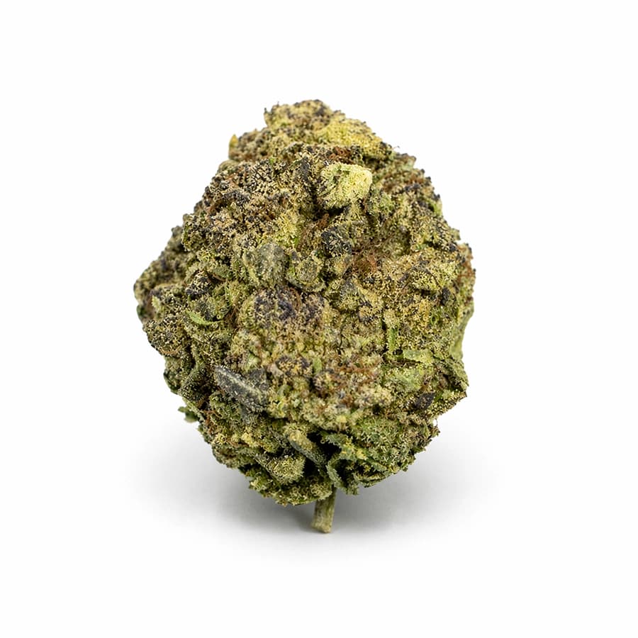 ZAZA | THCA Exotic Flower | Blizzard Bar