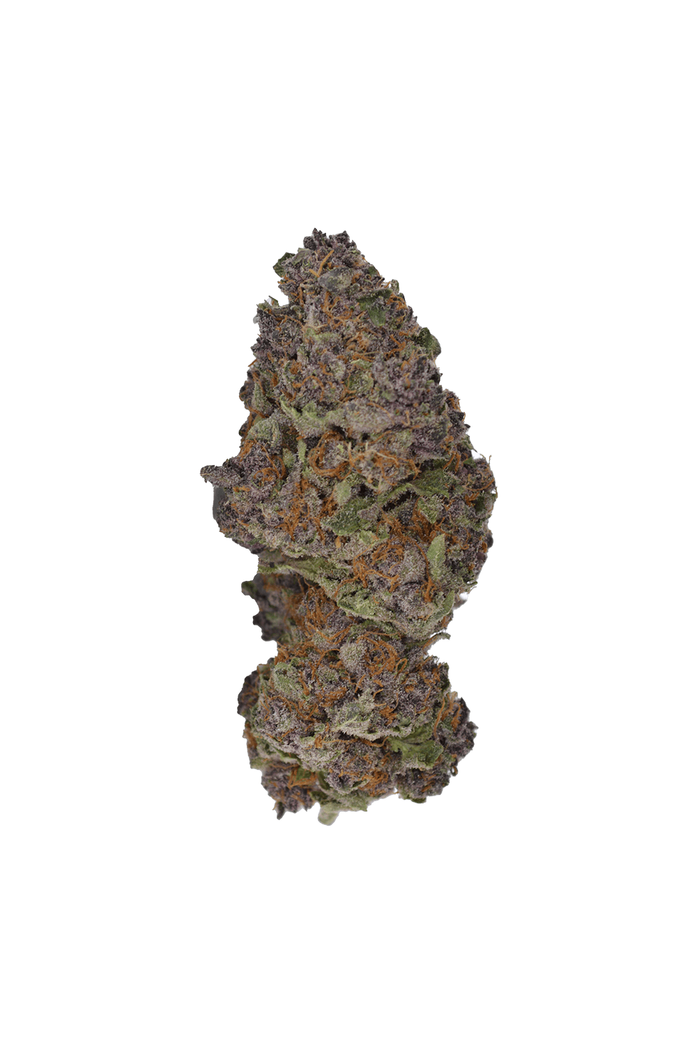 Black Cherry Gelato