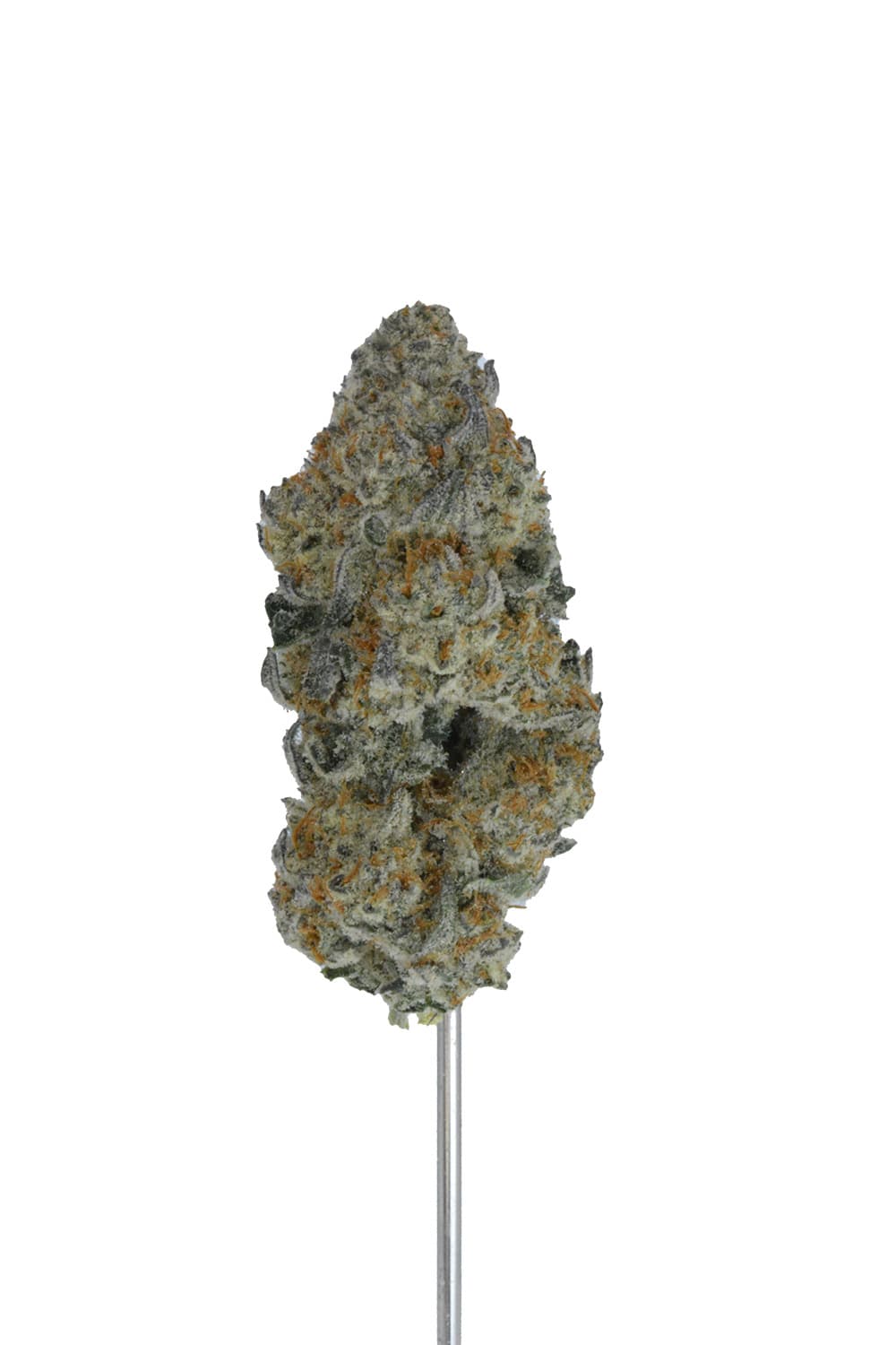Cereal Milk THCA Hemp Flower