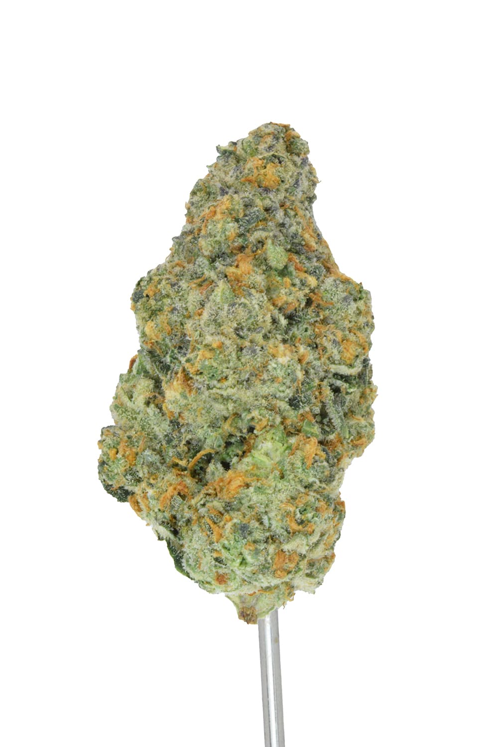 808 Headband